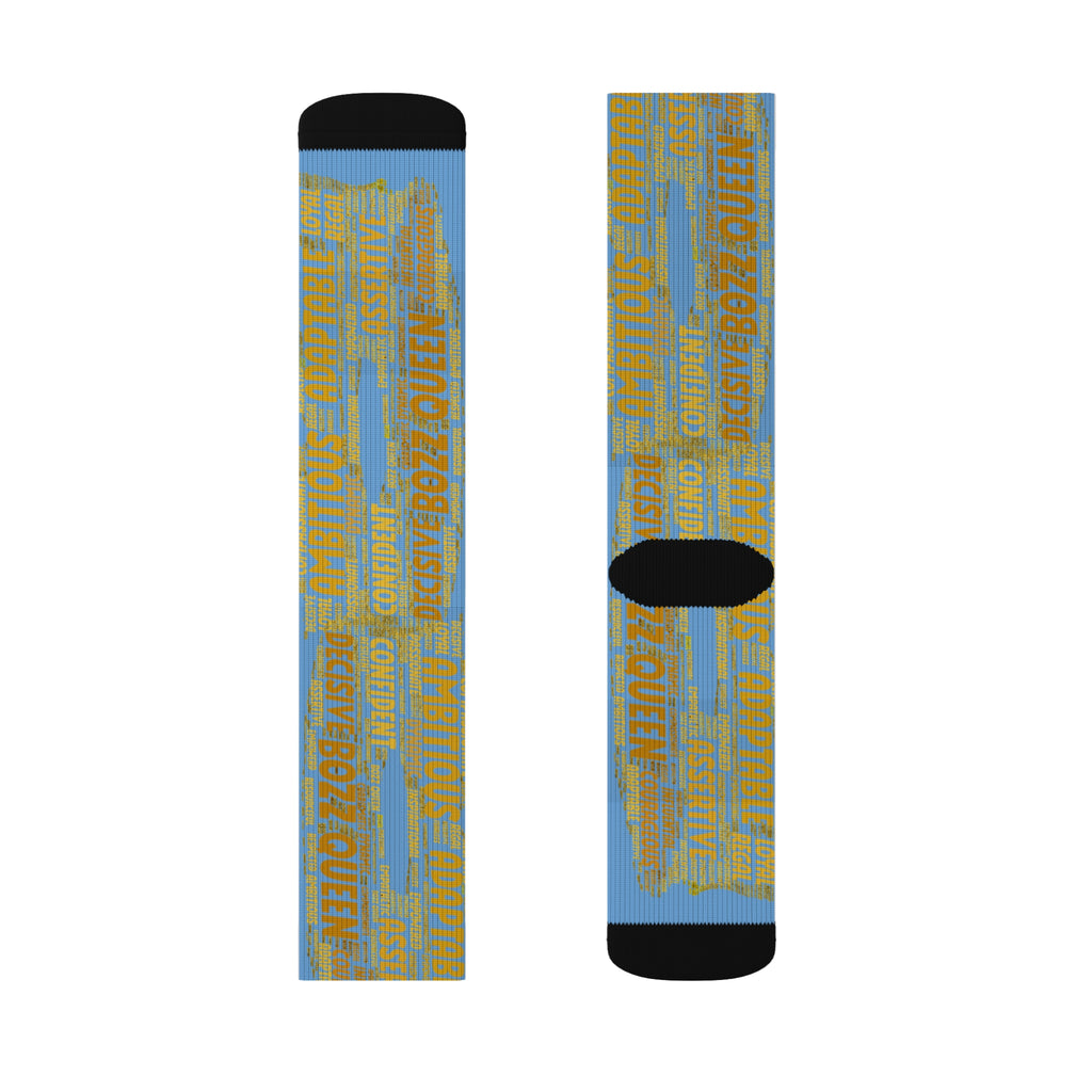 Light Blue Bold Statement Socks | Inspirational Gift, Trendy Accessories, Positive Affirmations, Unique Fashion, Motivational Wear